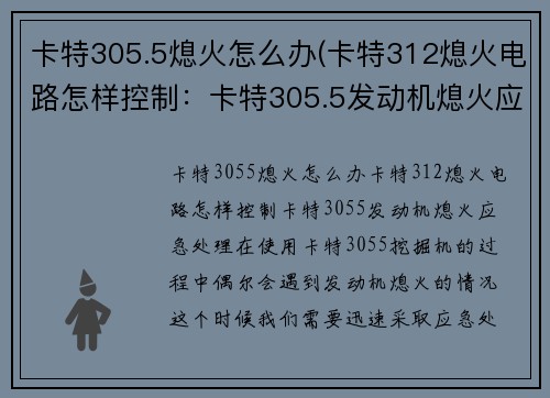 卡特305.5熄火怎么办(卡特312熄火电路怎样控制：卡特305.5发动机熄火应急处理)